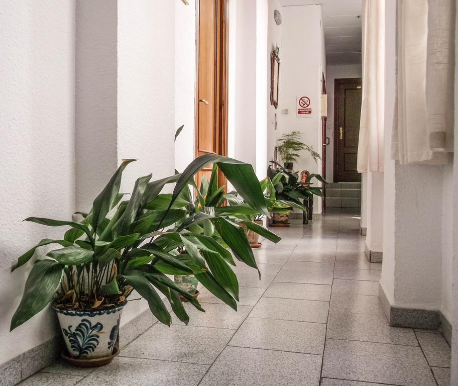 Pension Ciudad Navarro Ramos Granada Dış mekan fotoğraf